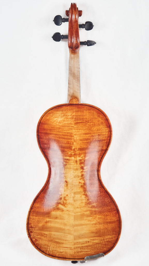 3/4 sized violin back