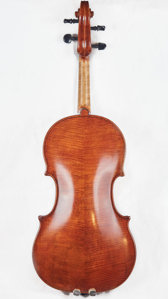 Back plate of viola