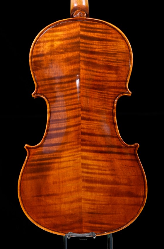 back of violin